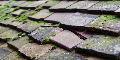 Robertsbridge roof repair costs